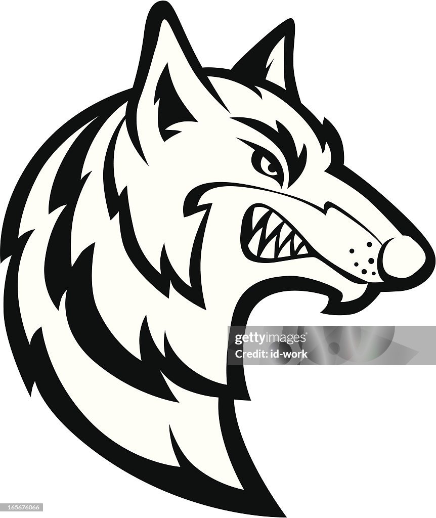 Angry Wolf High-Res Vector Graphic - Getty Images