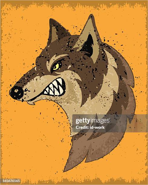 angry wolf - snarling stock illustrations