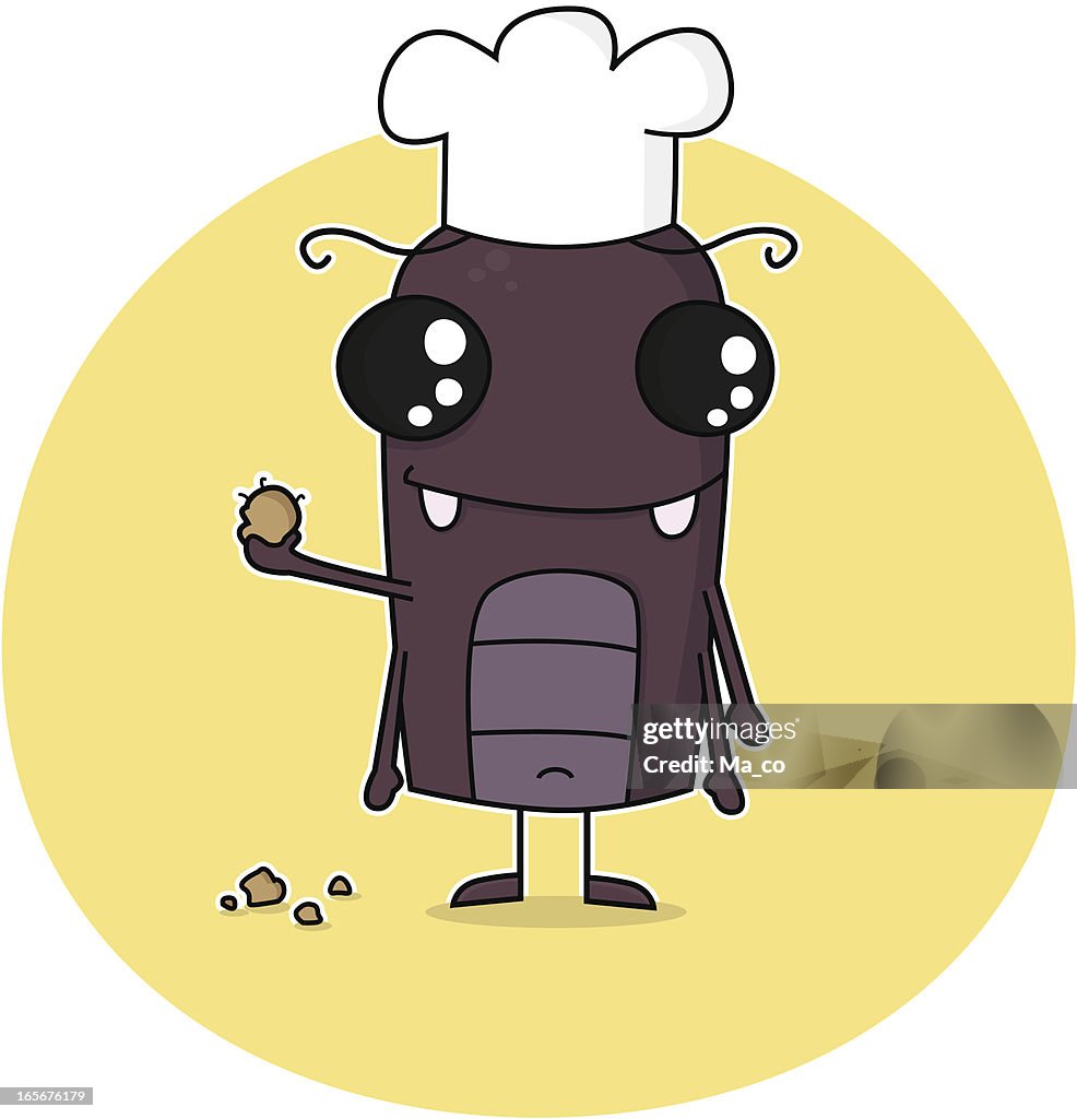 Cockroach in Kitchen