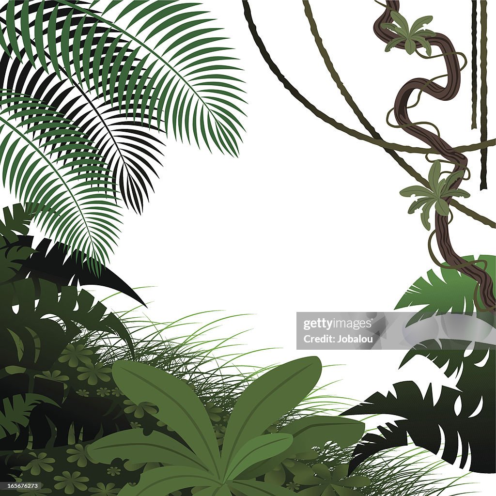 Feuilles Dans La Jungle Illustration - Getty Images
