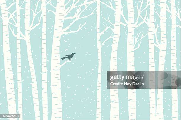 ilustraciones, imágenes clip art, dibujos animados e iconos de stock de birch en una silla reclinable - invierno