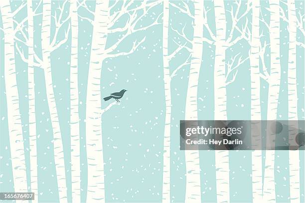stockillustraties, clipart, cartoons en iconen met birch perch - vogels