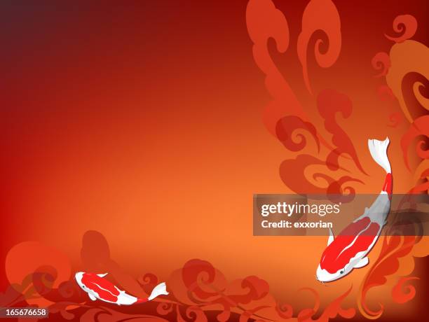 Fish Vector Overhead 16 Swimming Fish Overhead Background High Res Illustrations - Getty Images