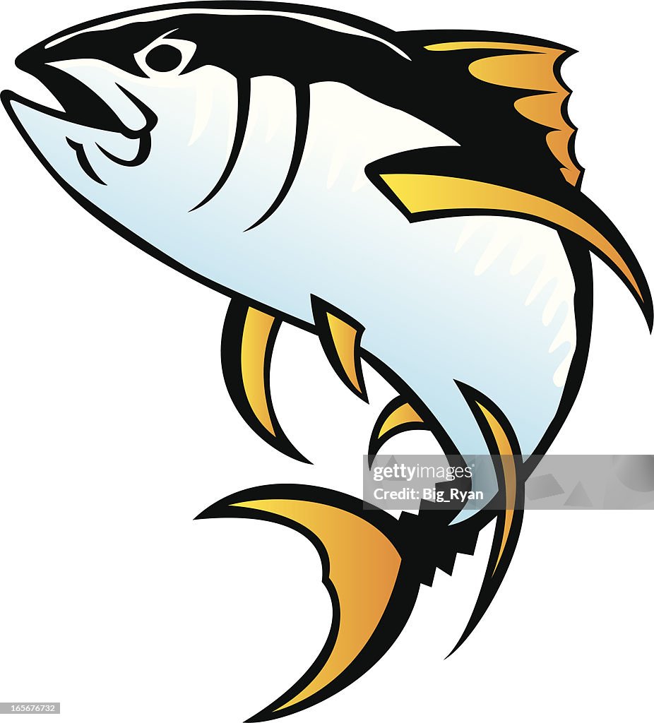 Yellowfin tuna