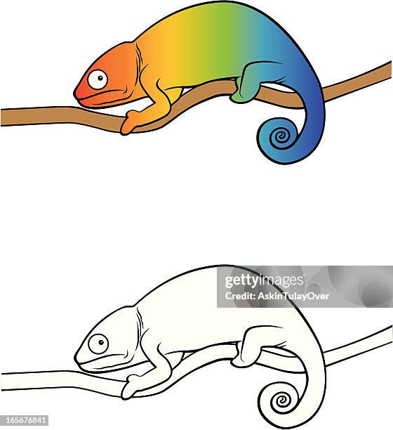 chameleon - chameleon stock illustrations