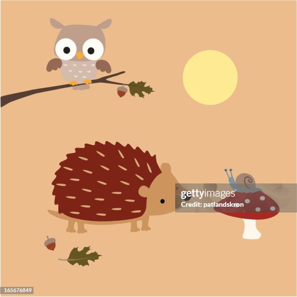 402点のハリネズミイラスト素材 Getty Images 402点のハリネズミイラスト素材 Getty Images