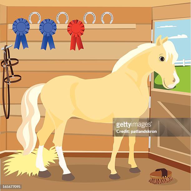 illustrazioni stock, clip art, cartoni animati e icone di tendenza di cavallo palomino in uno stabile - scuderia