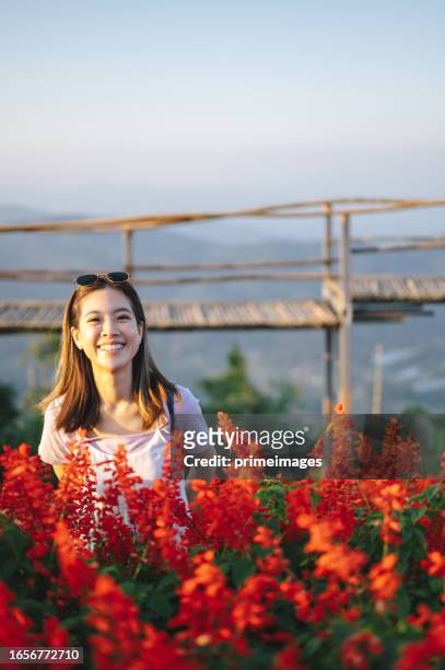 relaxed smile asian woman breathing fresh air in mountain peak a green forest carefree autumn day in a purple flower field - chiang rai province stock pictures, royalty-free photos & images