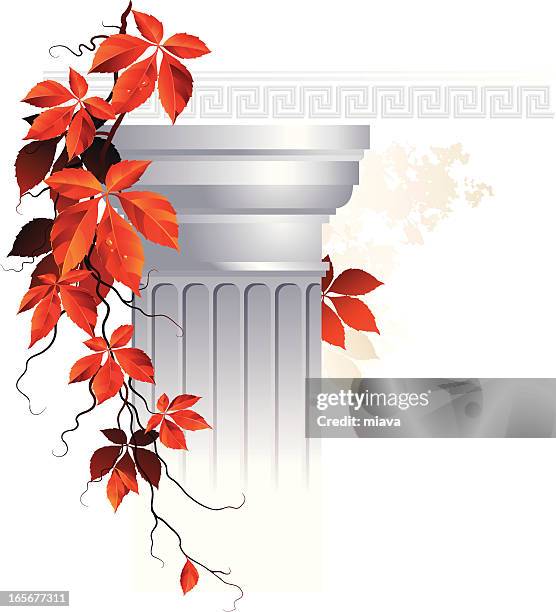 ancient column with vine - roman column stock illustrations