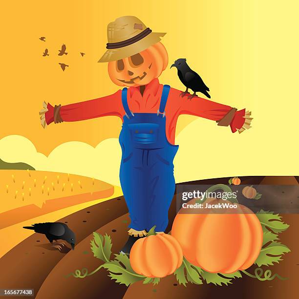 the silent guardian - pumpkin patch stock illustrations