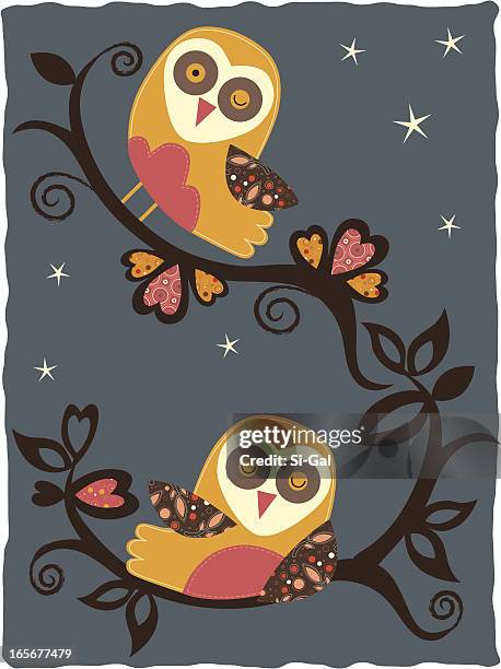 illustrazioni stock, clip art, cartoni animati e icone di tendenza di owls nella notte (serie - animal markings