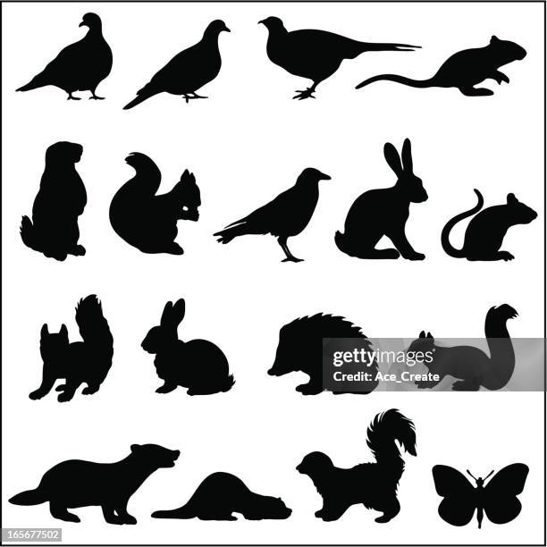 illustrations, cliparts, dessins animés et icônes de woodland silhouette d'animaux dans - thème des animaux