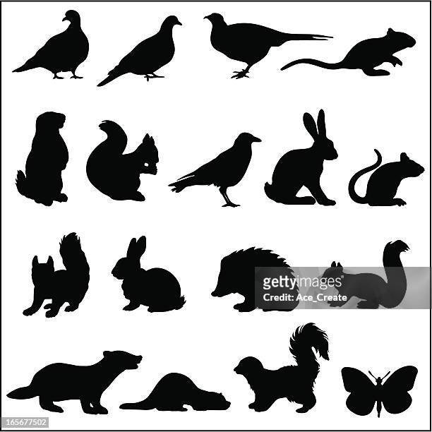 stockillustraties, clipart, cartoons en iconen met woodland animals in silhouette - konijntje