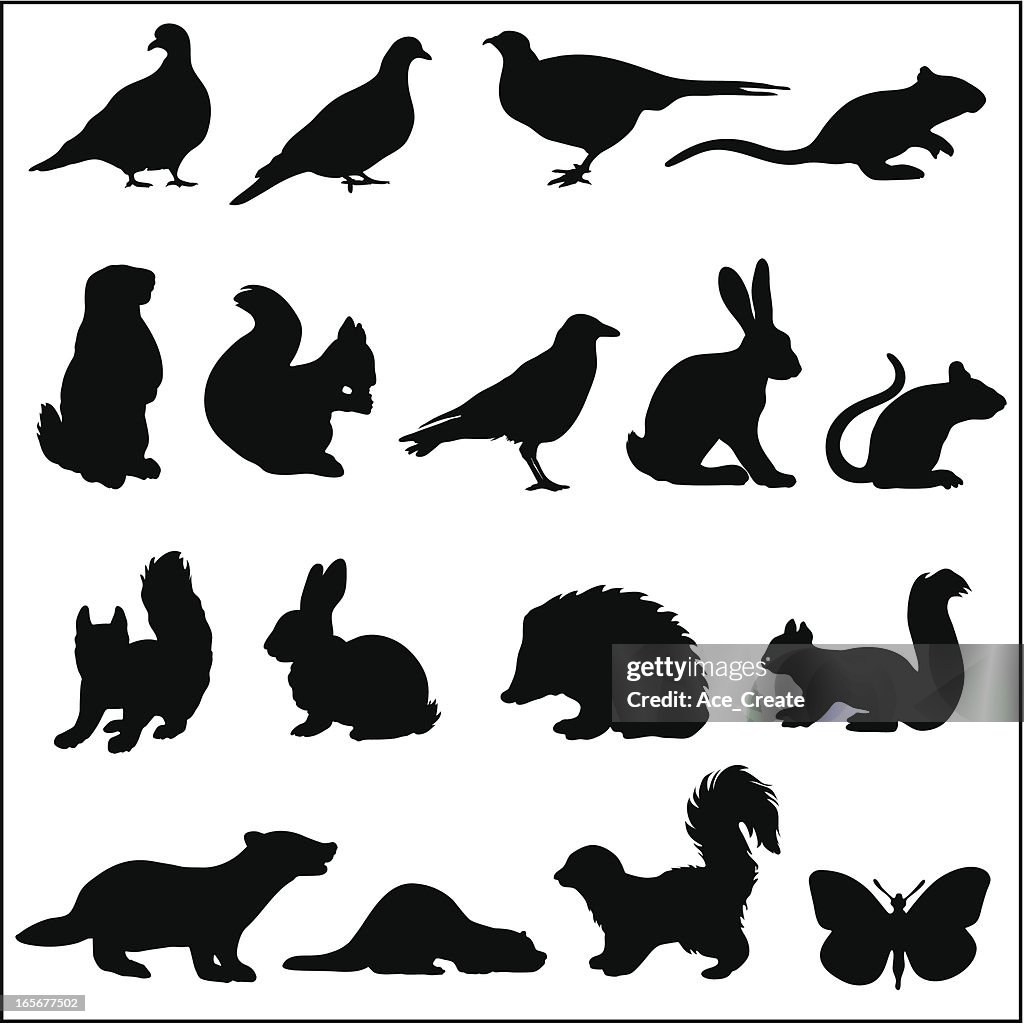 Woodland animals in silhouette