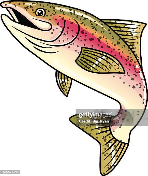 91点のニジマスイラスト素材 Getty Images 91点のニジマスイラスト素材 Getty Images