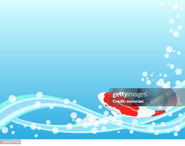 carp river background - koi fish stock illustrations
