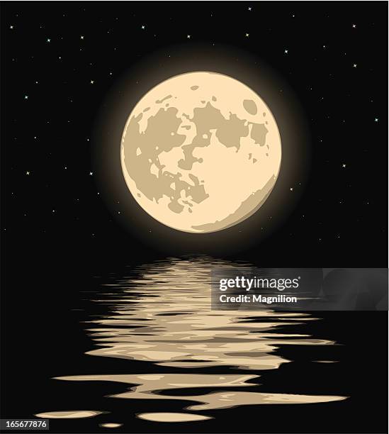 stockillustraties, clipart, cartoons en iconen met wonderful night moon - weerkaatsing