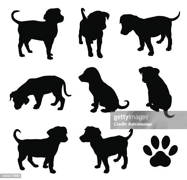 ilustraciones, imágenes clip art, dibujos animados e iconos de stock de cachorro - perro