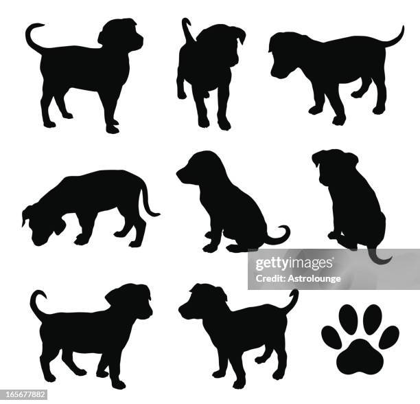 puppy - dogs vector stock illustrations