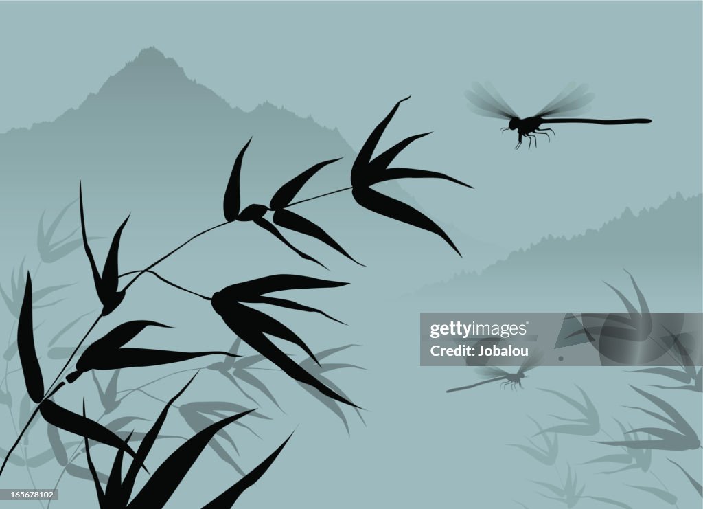 Chinese Dragonfly