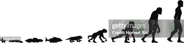 evolution - apes stock-grafiken, -clipart, -cartoons und -symbole