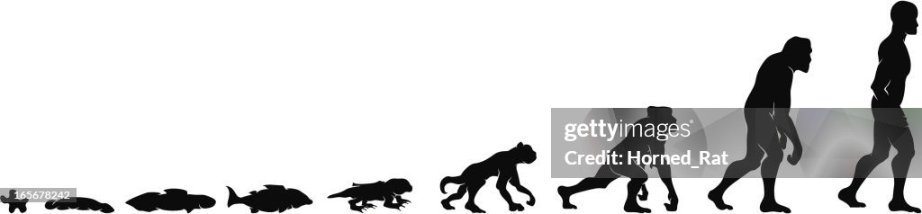 Silhouettes of the evolution of humankind