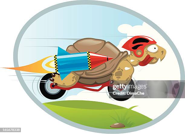 Drag Racing Turtle 189 Turtle Winning Race Stock Photos, High-Res Pictures, and Images ...