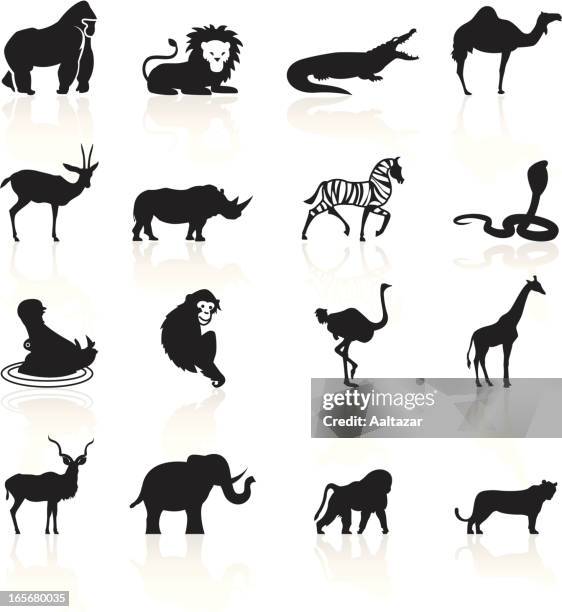 stockillustraties, clipart, cartoons en iconen met black symbols - african animals - aap