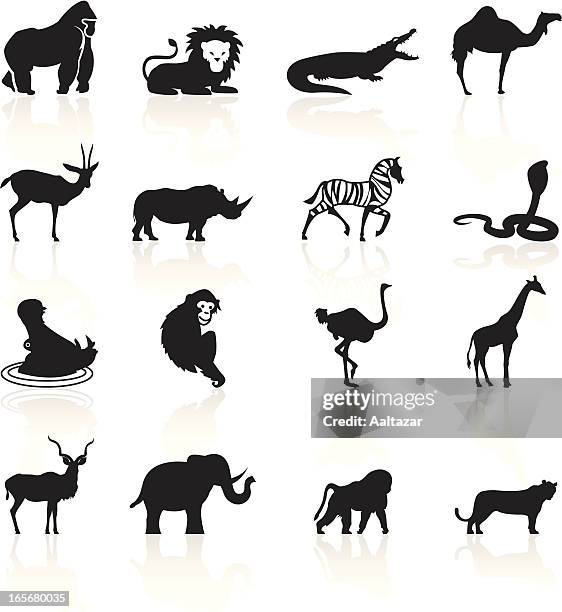 ilustrações, clipart, desenhos animados e ícones de preto símbolos de animais africanos - white elephant