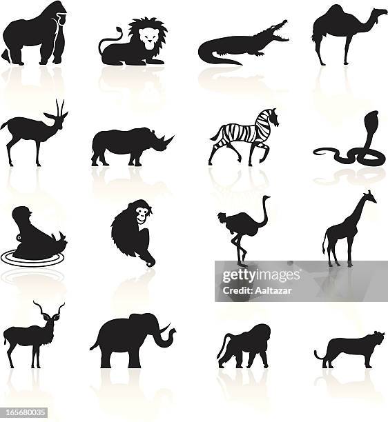 bildbanksillustrationer, clip art samt tecknat material och ikoner med black symbols - african animals - chimpanzee