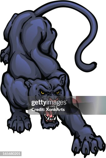 Panther Crouch Panther Crouch