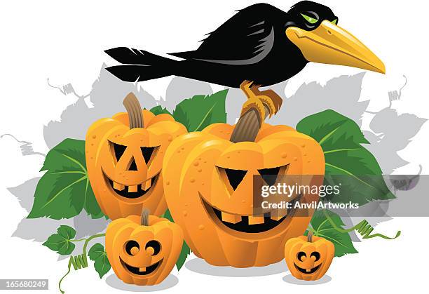 halloween raven - pumpkin patch stock illustrations
