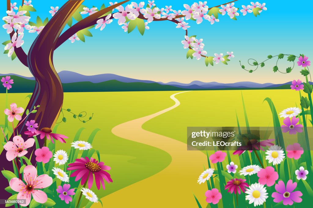 Beautiful Spring Landscape