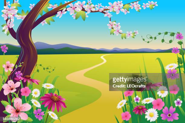 beautiful spring landscape - blossom tree stock illustrations