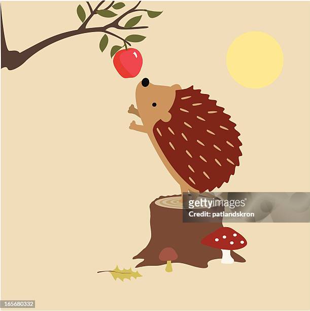 ilustraciones, imágenes clip art, dibujos animados e iconos de stock de erizo encuentra una manzana - linda rama