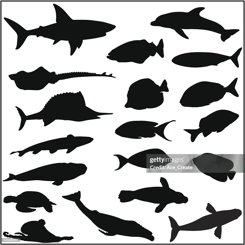 Collection of many fish and sea life silhouettes