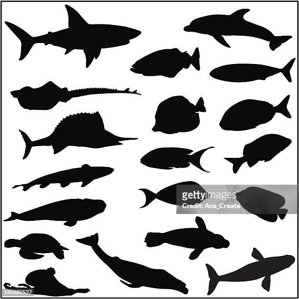collection of many fish and sea life silhouettes - humpback whale stock illustrations
