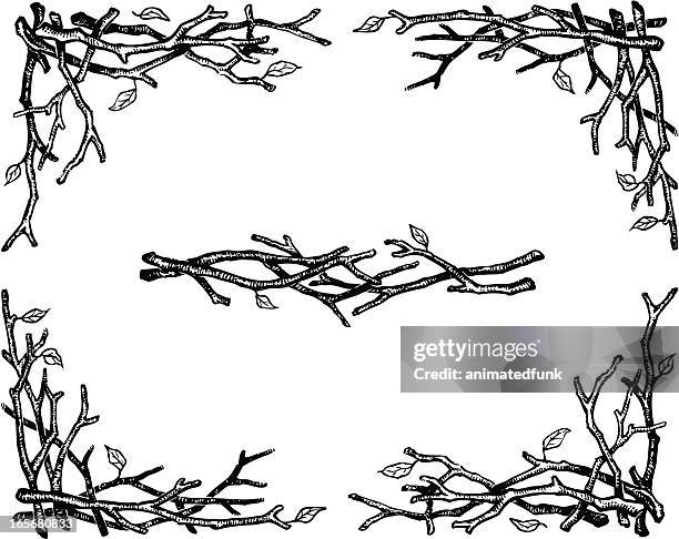 twigs"" - ast pflanzenbestandteil stock-grafiken, -clipart, -cartoons und -symbole