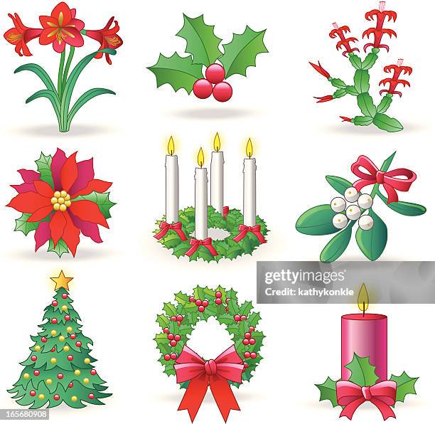 ilustraciones, imágenes clip art, dibujos animados e iconos de stock de vegetación de navidad - cactus de navidad