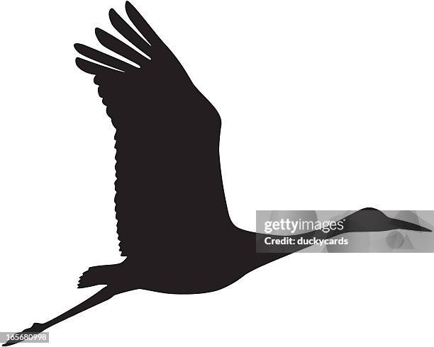 kanadischer kranich im flug silhouette - crane bird stock-grafiken, -clipart, -cartoons und -symbole