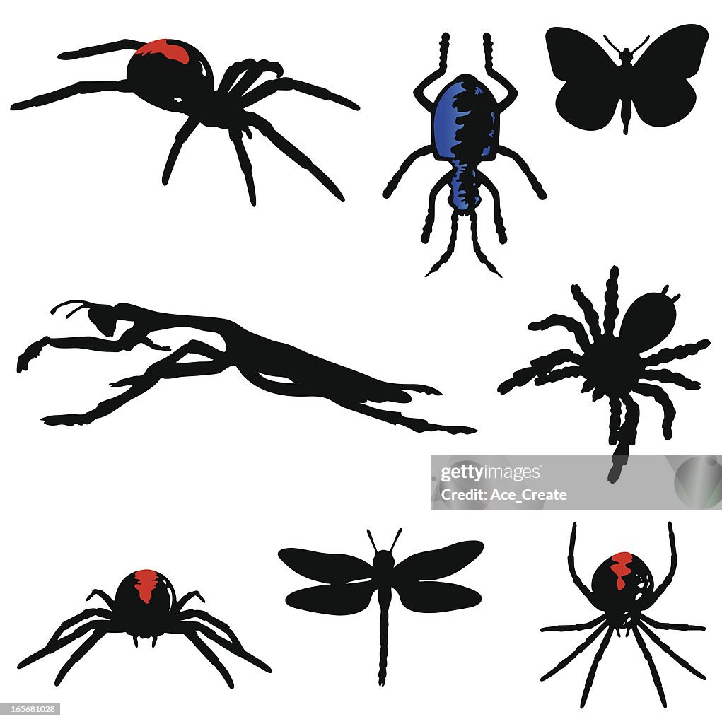 Insect silhouettes with red and blue