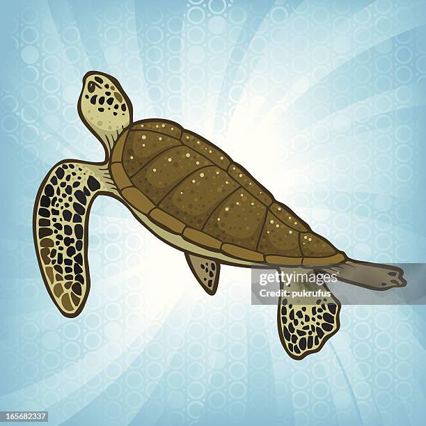 Cartoon Turtle Exploding 156 Sea Turtle Cartoon Stock Photos, High-Res Pictures, and Images ...