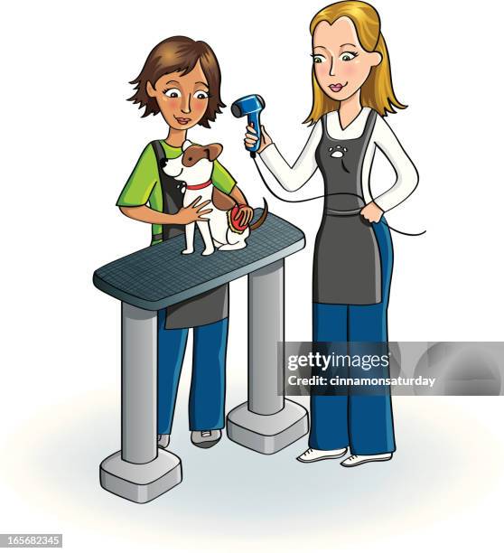 zwei frauen einen kleinen hund pflege - haare föhnen stock-grafiken, -clipart, -cartoons und -symbole