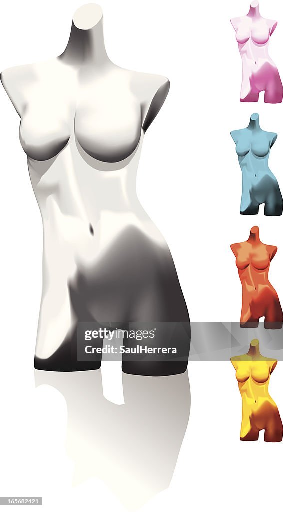 Monochrome torso of woman
