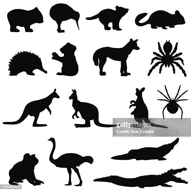 stockillustraties, clipart, cartoons en iconen met australian animals silhouette set - wallaby