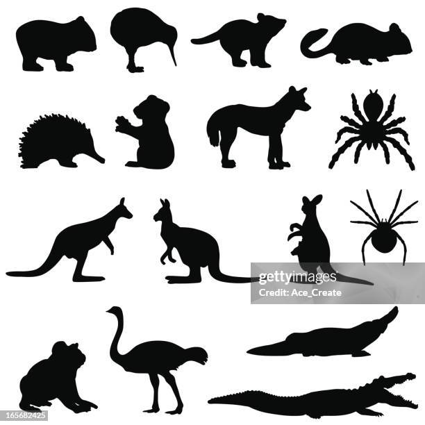 australian animals silhouette set - animal pouch stock illustrations