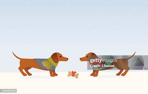 dachshund christmas - dachshund christmas stock illustrations