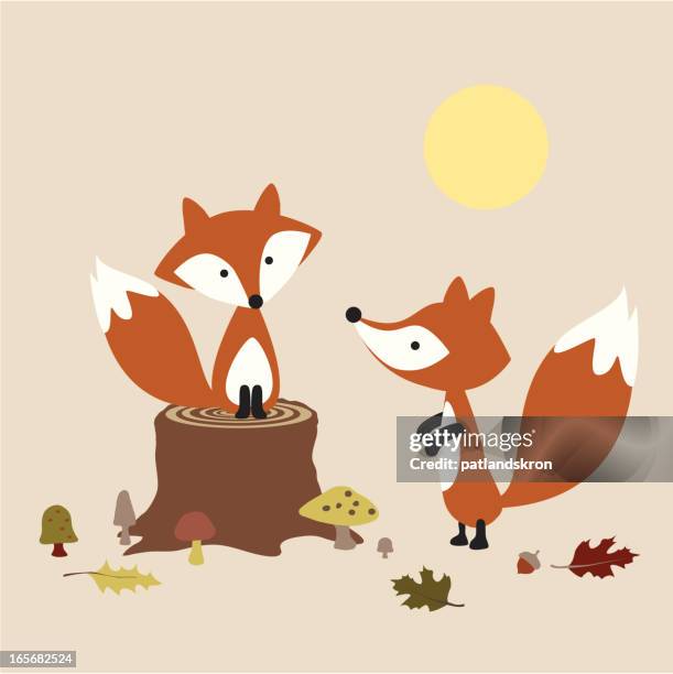 ilustraciones, imágenes clip art, dibujos animados e iconos de stock de par de foxes - zorro