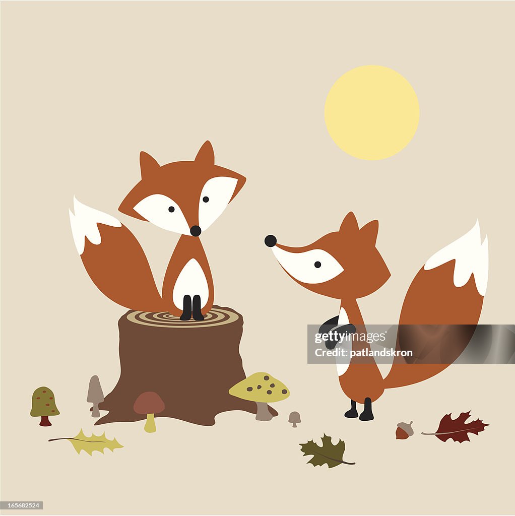 Pair of Foxes