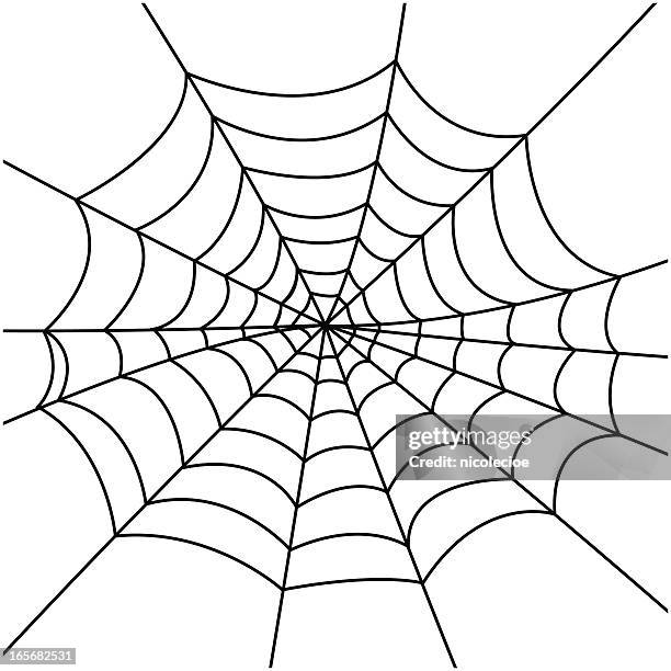 ilustrações, clipart, desenhos animados e ícones de teia de aranha - web